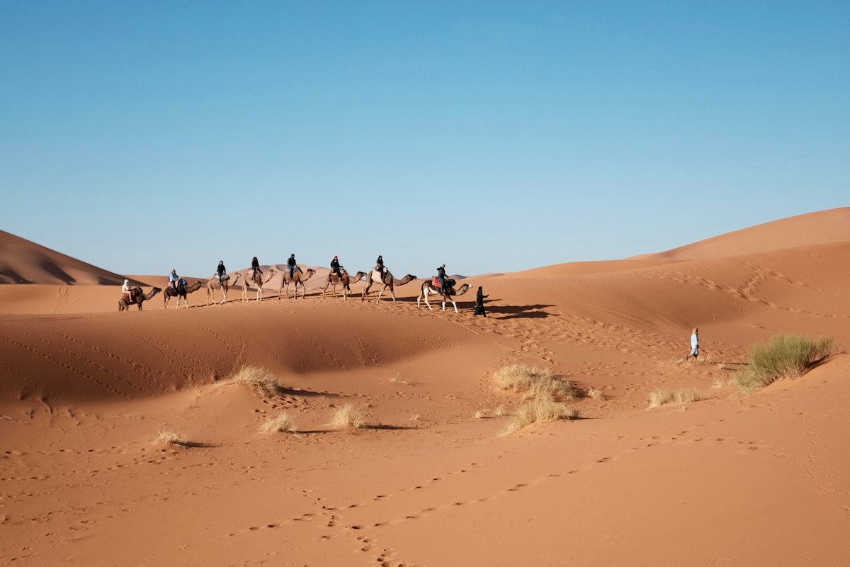 قافلة إبل تعبر الكثبان